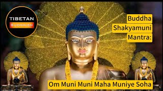 Buddha Shakyamuni Mantra Om Muni Muni Maha Muniye Soha  tibetan budhhism [upl. by Naeloj]