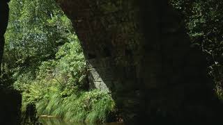 Gentle Flowing River under an Ancient Bridge Birds Singing and Water Sounds [upl. by Otokam]