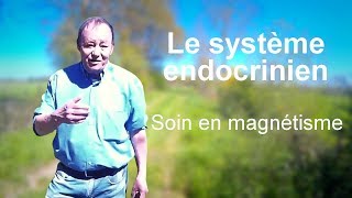 SOIN en MAGNÉTISME sur les Glandes Endocrines [upl. by Ehcar]