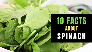 10 INTERESTING FACTS ABOUT SPINACH [upl. by Lovich]