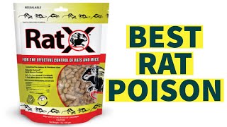 Best Rat Poison 2022 ►► Updated Complete Reviews✅✅ [upl. by Tod]