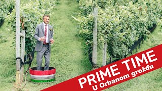 U Orbanom grožđu  206  Prime Time [upl. by Nitsirc]