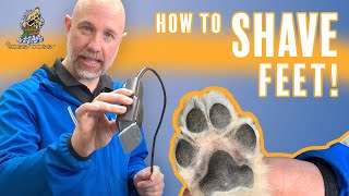 Learn How to Shave Your Dogs Feet from The Soggy Doggy [upl. by Alexander]