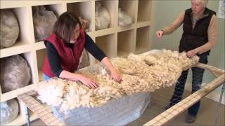 How to Skirt an Alpaca Fleece [upl. by Xad765]