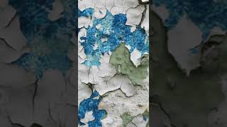 Fresco Painting Techniques Short [upl. by Animsaj]