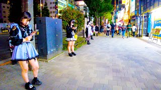 Akihabara in Tokyo 🐶🍻 Moe Moe Night ♪ 💖 4K ASMR nonstop 1 hour 01 minutes [upl. by Eadrahs462]