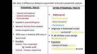 The Pyramidal Tracts by Dr John Lyngdoh Physiology NEIGHRIMS Shillong [upl. by Bonnee]