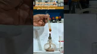 Funny experiment  colourful vapour formation shorts subscribe [upl. by Ordisi197]