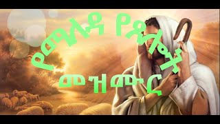 Betelhem Tezera  Nafekegn  ቤተልሔም ተዘራ  ናፈቀኝ [upl. by Ardnaik]