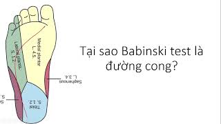 Câu hỏi lâm sàng Tại sao làm Babinski theo đường cong  Y3Y4 [upl. by Nitsua]