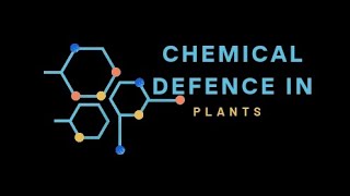 PreExisting and induced chemical defence in plants [upl. by Healey620]