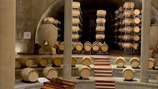 Visita a Bodega Salentein en Mendoza Argentina Tour del vino [upl. by Duyne]