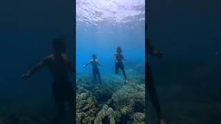 New freediving skill unlocked Waterwalking [upl. by Cogen]