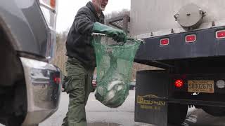 WVDNR increases Buffalo Creek trout stocking [upl. by Corder]