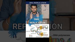 Dna replicationProkaryotesEukaryotestamilnotestypesdiagramsemiconservativecsir net [upl. by Dagley]