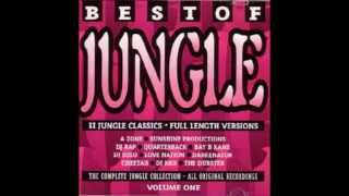 Best Of Jungle Volume One [upl. by Catie17]