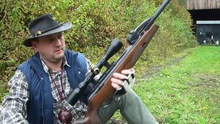 Luftgewehr BSA SPITFIRE 10  Plinking 25 m [upl. by Hsilgne]