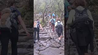 Hike to the pulpit rock stavanger Norway trek beautifulnorway [upl. by Bonina582]