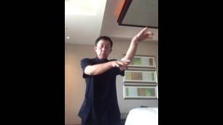 Master Zhao Chuan Hui  Song Style Xingyi Quan Fa Jin [upl. by Solrac442]