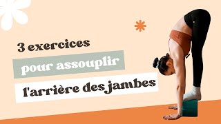 Le secret pour assouplir larrière de tes jambes  3 étirements ischios à faire à la maison 🚀 [upl. by Dorthy]