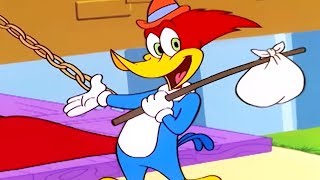 Woody Woodpecker Show  Bavariannoying  1 Hour Compilation  Cartoons For Children [upl. by Suzie]