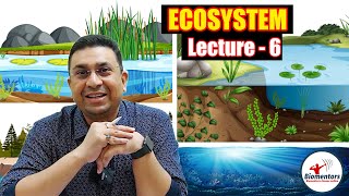 Ecosystem l Lecture 6 l Biology l NEET [upl. by Panayiotis3]