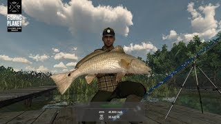 Fishing Planet  Everglades  Florida  Trophy Red Drum [upl. by Atinuj]