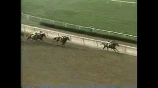 Caveat  1983 Belmont Stakes [upl. by Atnauq965]