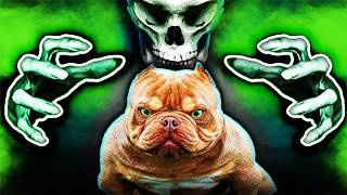 Why the American Bully Should Go EXTINCT [upl. by Neerihs]