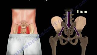 Sacroiliac Joint Dysfunction Animation  Everything You Need To Know  Dr Nabil Ebraheim MD [upl. by Nnad]