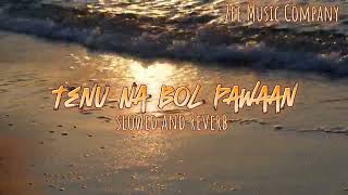 Tenu Na Bol Pawaan Slowed  Reverb  Behen Hogi Teri  Lofi Music06 [upl. by Easter]