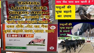 Boost Up Tablet  for Animal Use जानवरो मे उपयोग की जाती है boost up tablets भुख बढ़ाये जानवरो की [upl. by Rainah421]