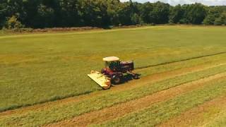 Alfalfa Hay Cutting at Geralds Farm in Kentucky [upl. by Hermann]