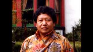 Akong Rinpoche advice 1983 [upl. by Annairam740]