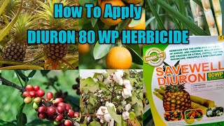 How To Apply Diuron 80 WP Herbicide [upl. by Airelav547]