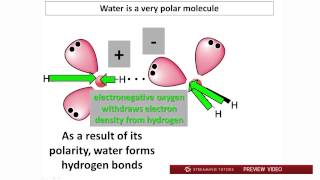 Biochemistry Water PH and Buffers Part 1 tutorial [upl. by Adallard]