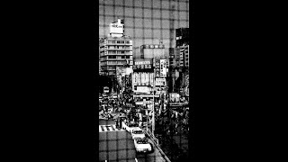 Daido Moriyama’s iconic photography on the GucciBamboo1947 [upl. by Marylin436]