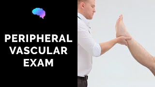 Peripheral Vascular Examination  OSCE Guide Latest  UKMLA  CPSA [upl. by Payson]