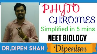 PHYTOCHROMES  Simplified in 5 mins  Class 11 CBSE  Plant Growth amp Development NEET Dipenism [upl. by Geaghan]