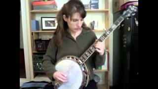 Jerusalem Ridge  Excerpt from the Custom Banjo Lesson from The Murphy Method [upl. by Corilla]