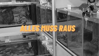 ALLES MUSS RAUS [upl. by Ahsircal]