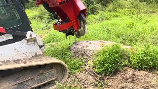 Xterra stump grinder in action [upl. by Campball]