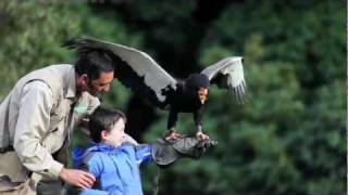 Imagefilm  Weltvogelpark Walsrode [upl. by Hahcim]