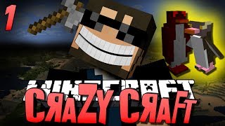 Minecraft CRAZY CRAFT 1  WTF IS THIS Minecraft Mod Survival [upl. by Aidnyl]