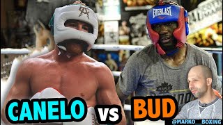 Terence Crawford vs Canelo Alvarez sparring breakdown [upl. by Erinna]