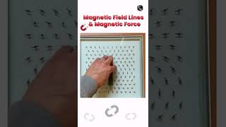 Practical Demonstration Of Magnetic Force And Magnetic Field Lines 🧲🧲 shorts magnet physics [upl. by Catie155]