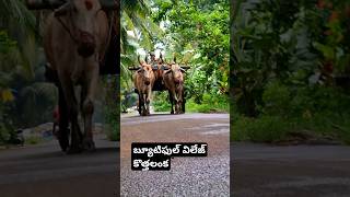 అందమైన పల్లెటూరు మా ఊరు kothalanka shorts ytshorts [upl. by Acnaiv]