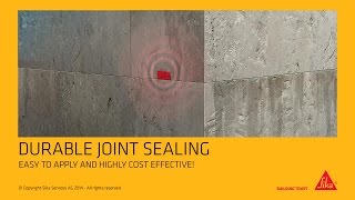 SikaSwell®  durable joint sealing English version [upl. by Emmerich264]