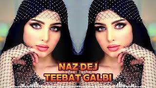 Teebat Galbi 2024 تيبات جالبينو ريمكس Tiktok Viral Music [upl. by Renee]