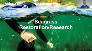 Seagrasses Importance Decline and Opportunities for Restoration [upl. by Annehcu]